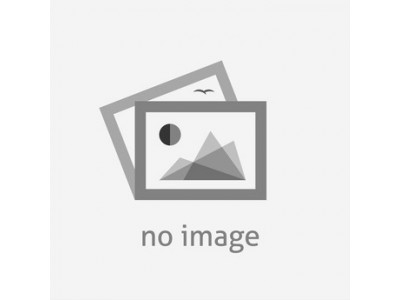 Etagenwagen inkl. Koppeleinheit EWK 10